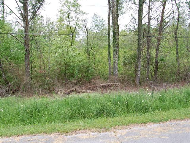 Land for sale in Tennessee