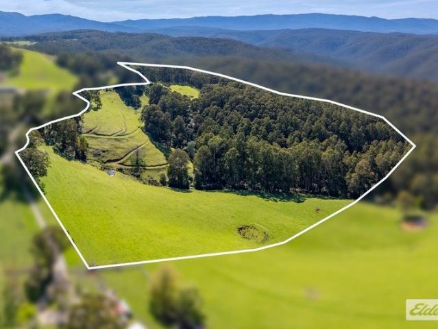 Land for sale in Fumina, Shire of Baw Baw