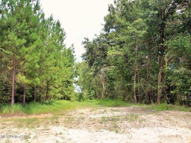 Land for sale in Lucedale, Mississippi