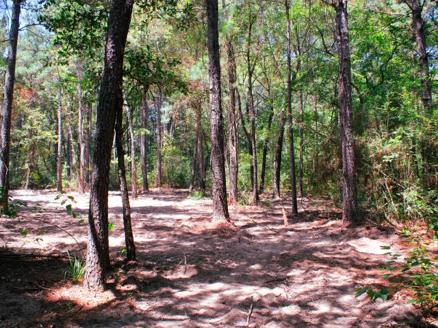 Land for sale in Midway, Madison County