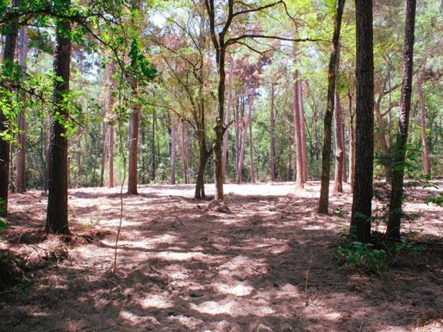 Land for sale in Midway, Madison County