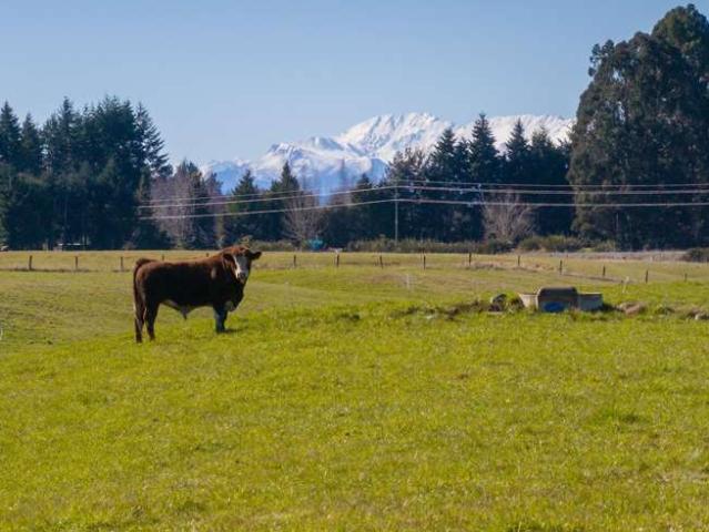 Property for sale in Te Anau, Southland