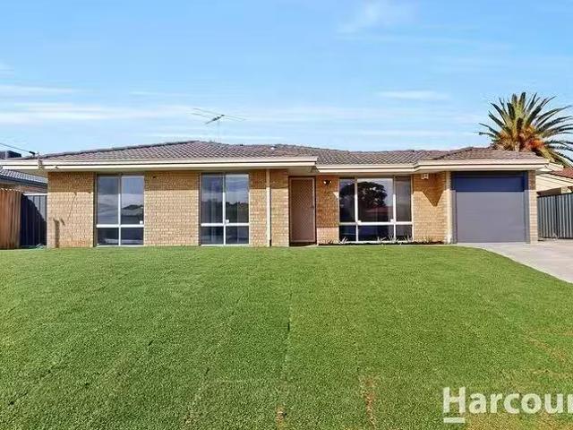 House for rent in Hocking, Western Australia