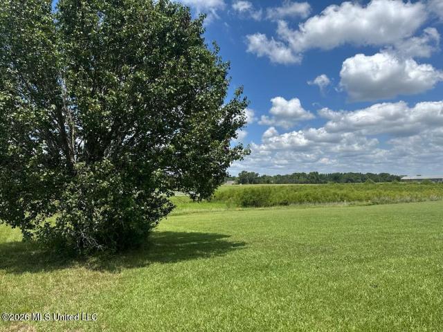 Land for sale in Flora, Mississippi