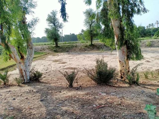Land for sale in Bahawalpur, Islamabad Capital Territory