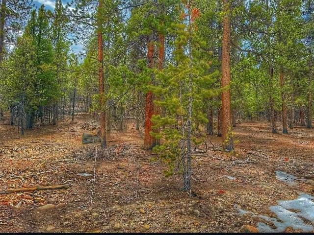 Land for sale in Twin Lakes, Colorado
