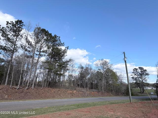 Land for sale in Decatur, Mississippi