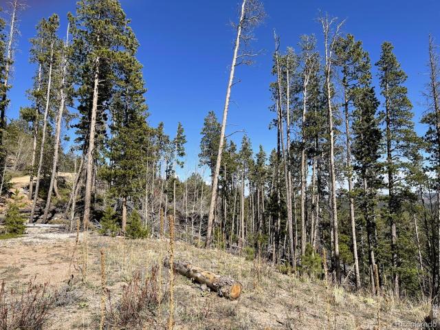 Land for sale in Colorado