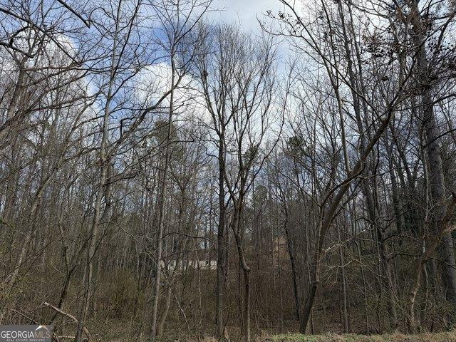 Land for sale in Bartow, Georgia