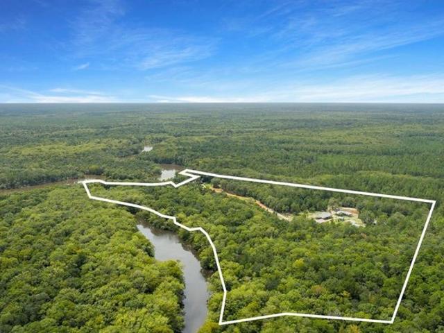 Land for sale in Walton, Florida