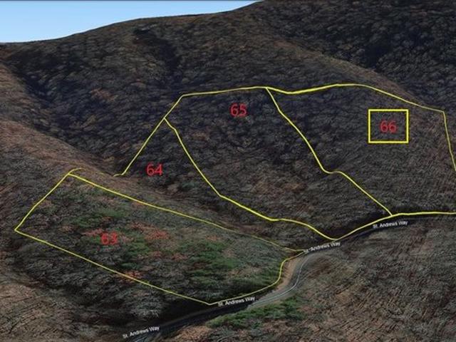 Land for sale in Gilmer, Georgia