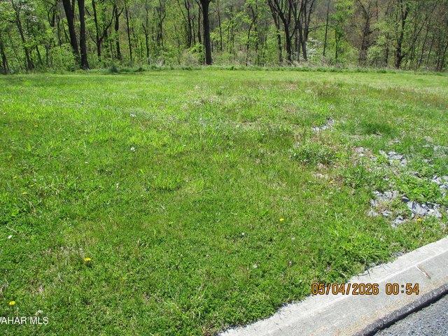 Land for sale in Blair, Pennsylvania