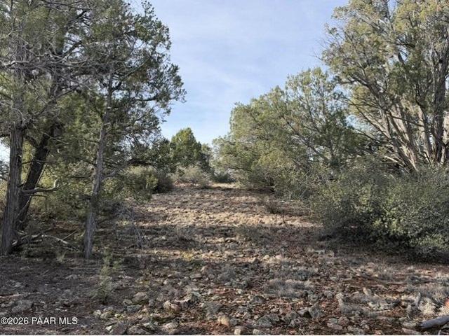 Land for sale in Ash Fork, Arizona