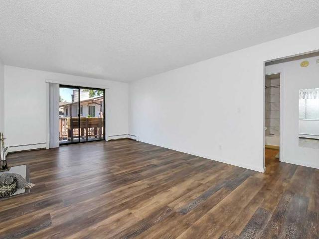 Apartment for rent in Colorado Springs, Colorado