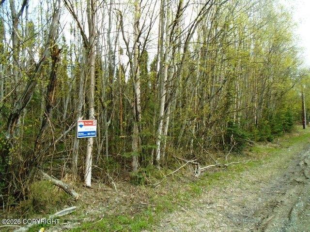 Land for sale in Wasilla