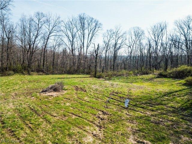 Land for sale in Millersburg, Ohio