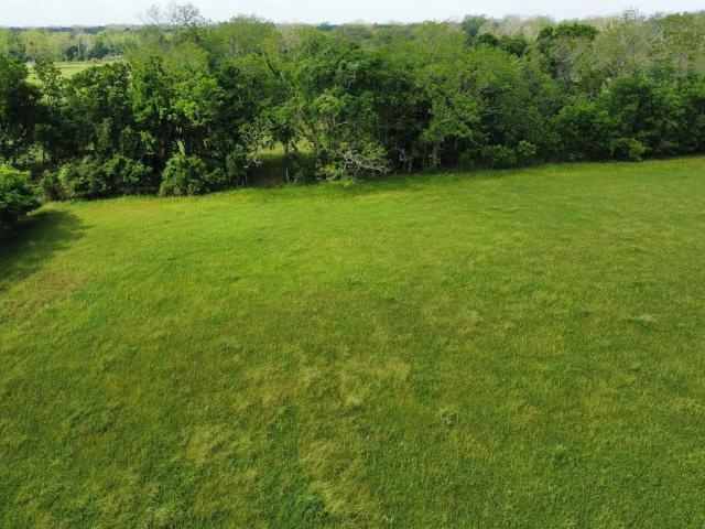 Land for sale in Boling, Texas