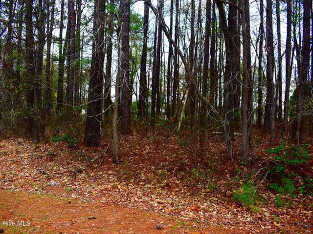 Land for sale in Saratoga, North Carolina