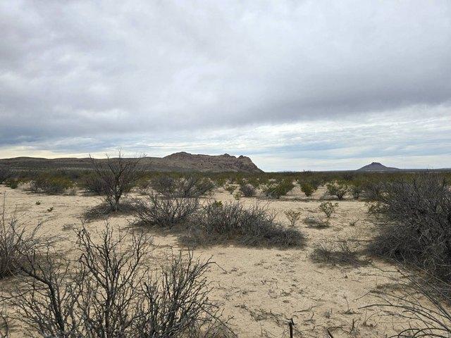 Land for sale in Brewster, Texas