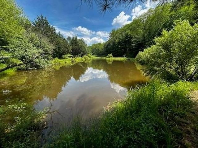 Land for sale in Virginia
