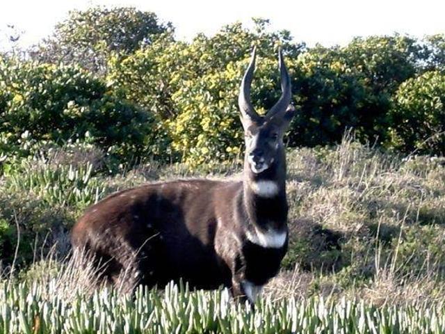 Land for sale in Groot Brak Rivier, Western Cape
