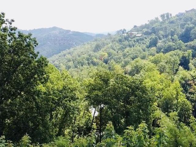 Land for sale in Tennessee