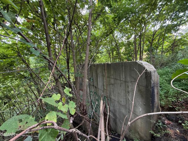 Land for sale in Chalet Village, Gatlinburg