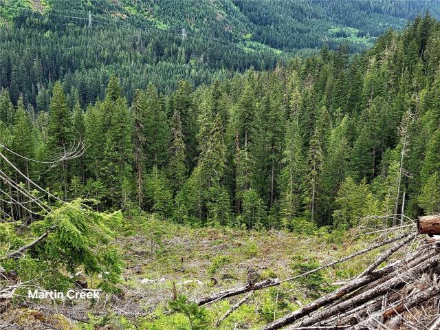 Land for sale in Skykomish, Washington