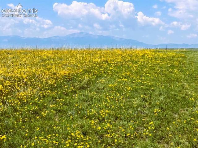 Land for sale in Calhan, Colorado