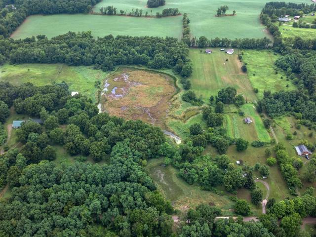 Land for sale in Hillsdale, Michigan