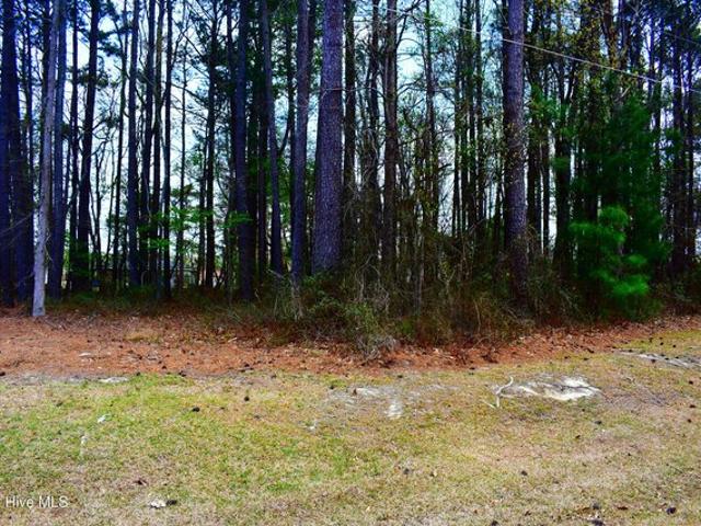 Land for sale in Saratoga, North Carolina
