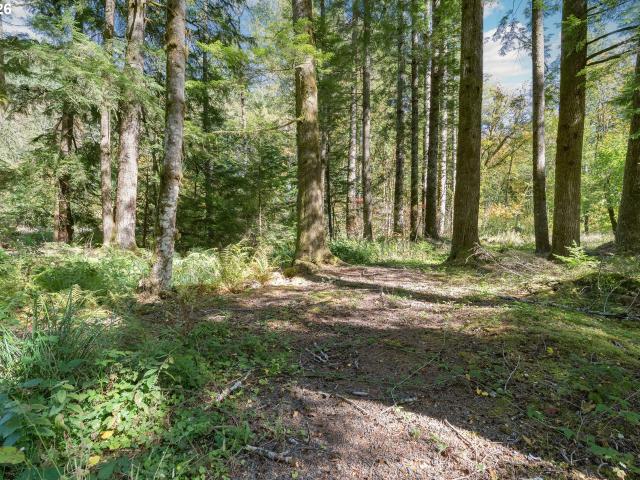 Land for sale in Wemme, Welches