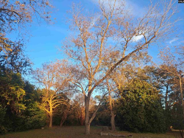 House for sale in Rembert, South Carolina