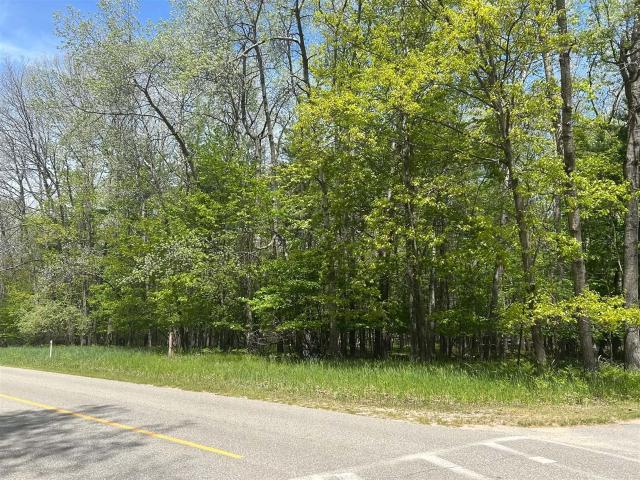 Land for sale in Michigan