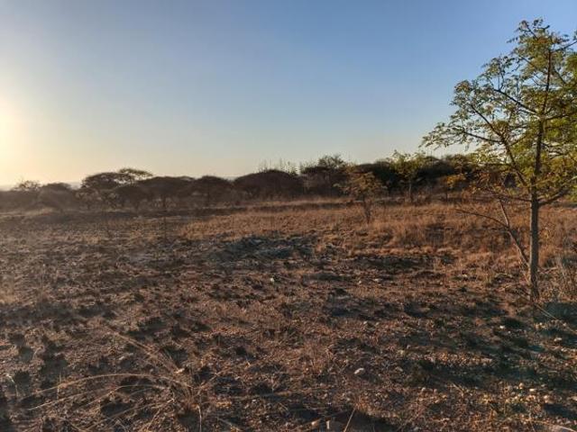 Land for sale in Polokwane, Polokwane Local Municipality