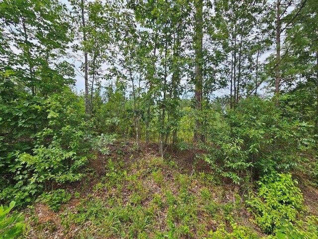 Land for sale in Virginia
