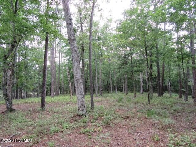 Land for sale in Nelms, Oriental