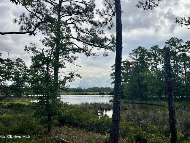 Land for sale in Oriental, North Carolina