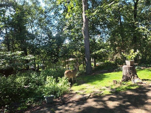 House for sale in Worthington Estates, Worthington