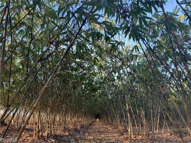 Land for sale in Labelle, Florida
