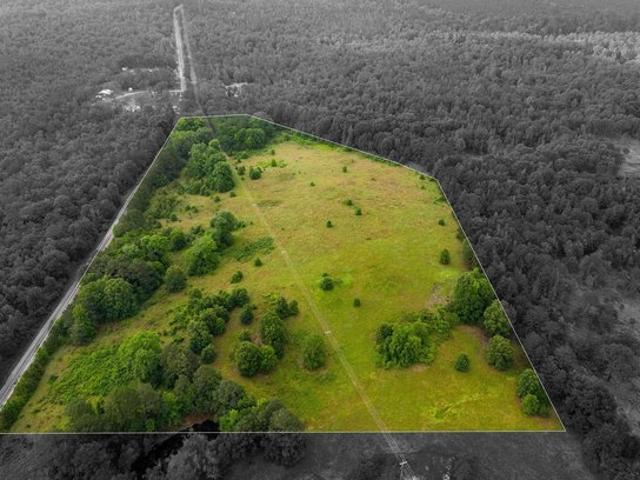 Land for sale in Diana, Texas