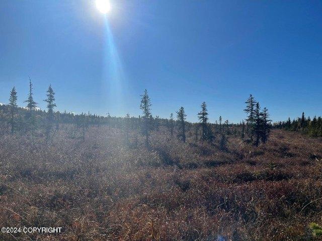 Land for sale in Ninilchik, Alaska