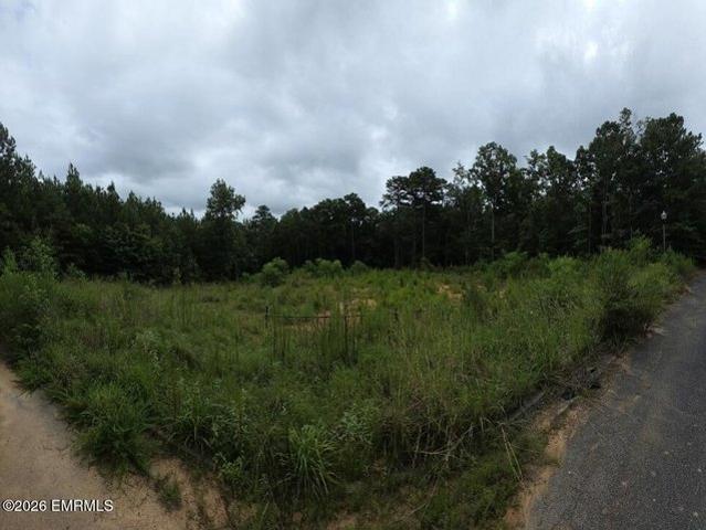 Land for sale in Meridian, Mississippi