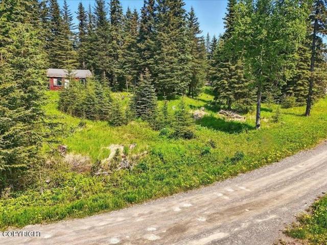 Land for sale in Ninilchik