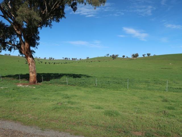 Cottage for sale in Belfrayden, New South Wales