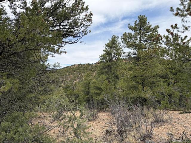 Land for sale in Colorado