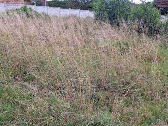 Land for sale in Cape St Francis, Eastern Cape