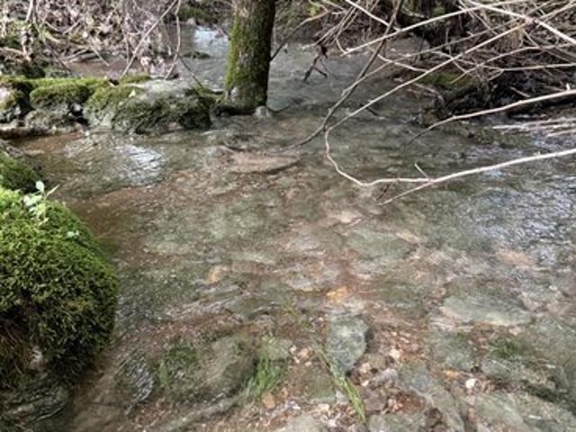 Land for sale in Tennessee