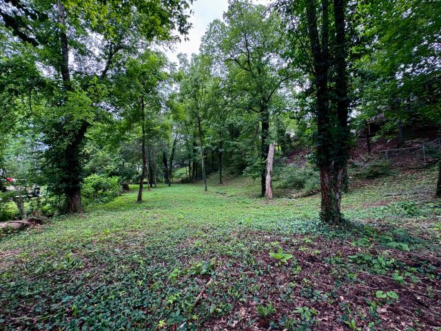 Land for sale in Tennessee