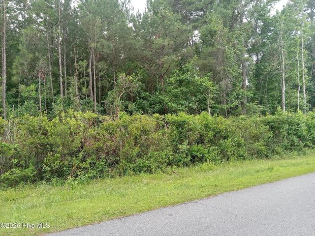 Land for sale in Ocean Isle Beach, North Carolina